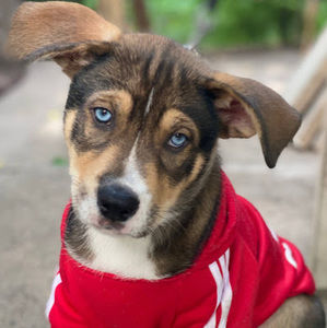 Meet your Posher, Kelsey